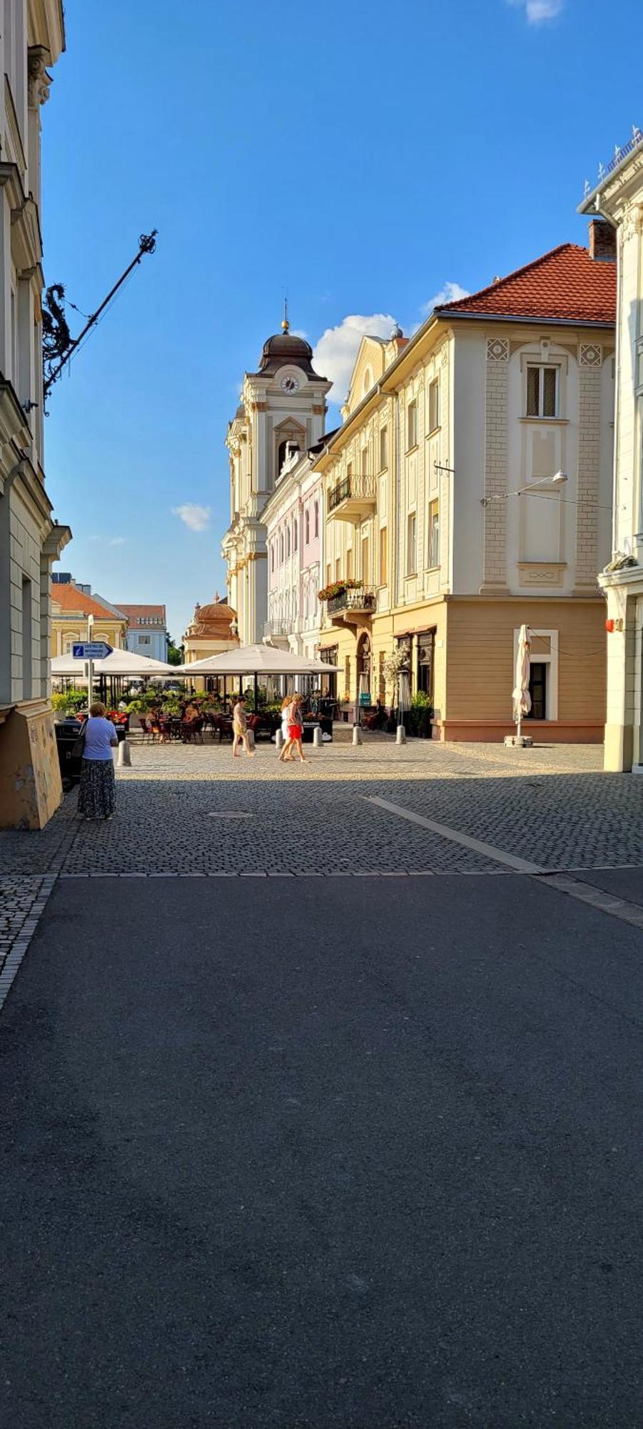 Pacha Residence Timisoara Exterior foto